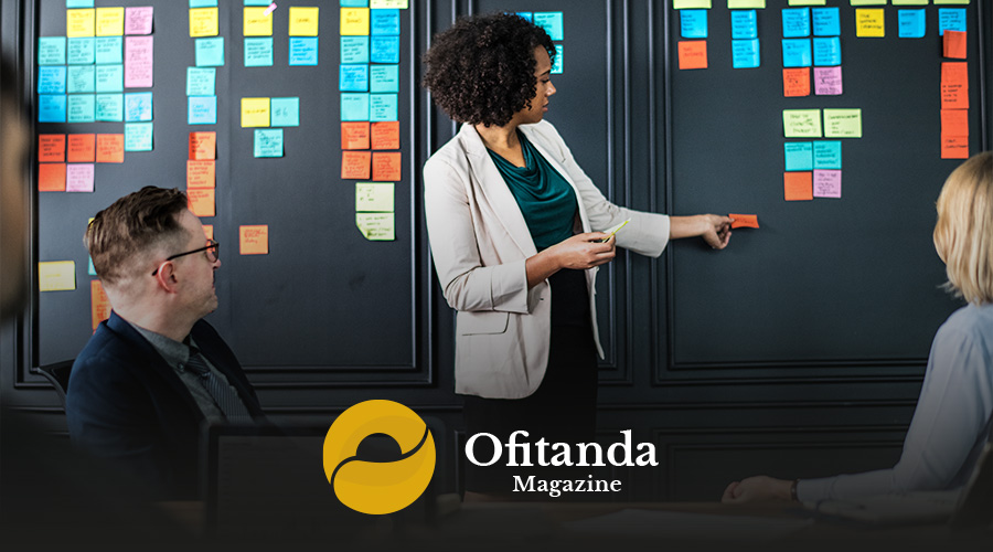 Análise Estrutural da Organização